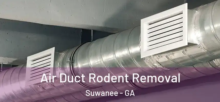  Air Duct Rodent Removal Suwanee - GA