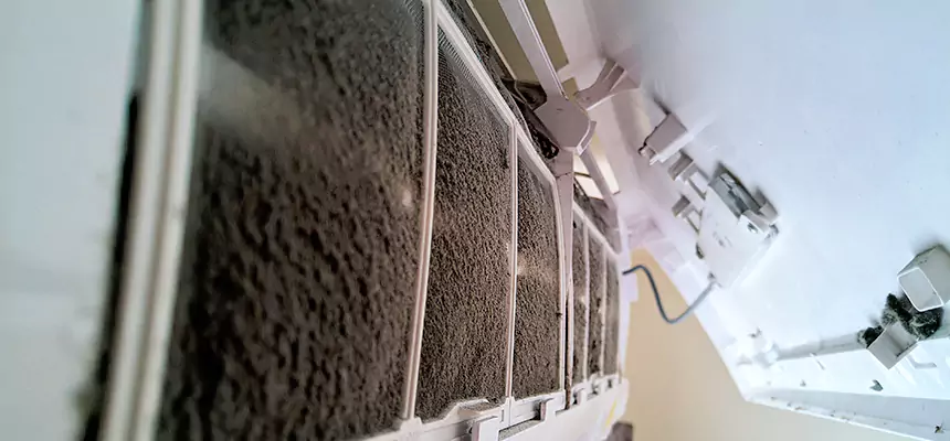 Preventive Air Duct Bacteria Removal in Suwanee