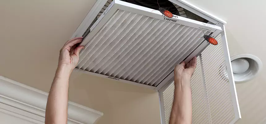 Preventive Cockroach-Proofing for Ducts in Suwanee