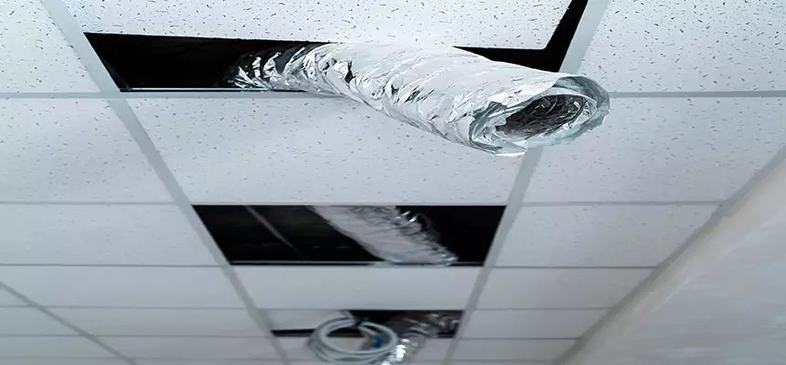 Our Air Duct Pet Hair Removal Services in Suwanee, GA