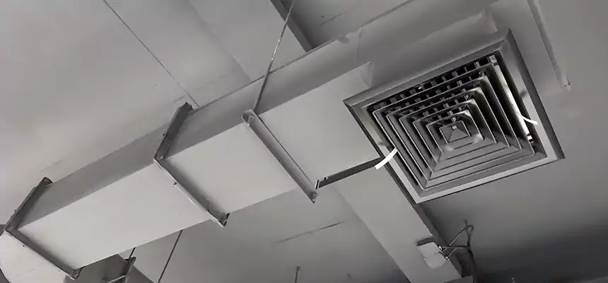 Our Pest Removal From Ducts Services in Suwanee, GA