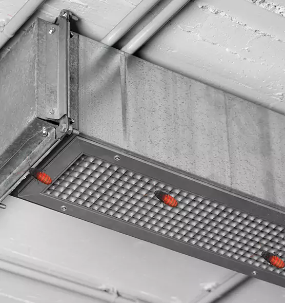 About Air Duct Cockroach Removal in Suwanee, GA