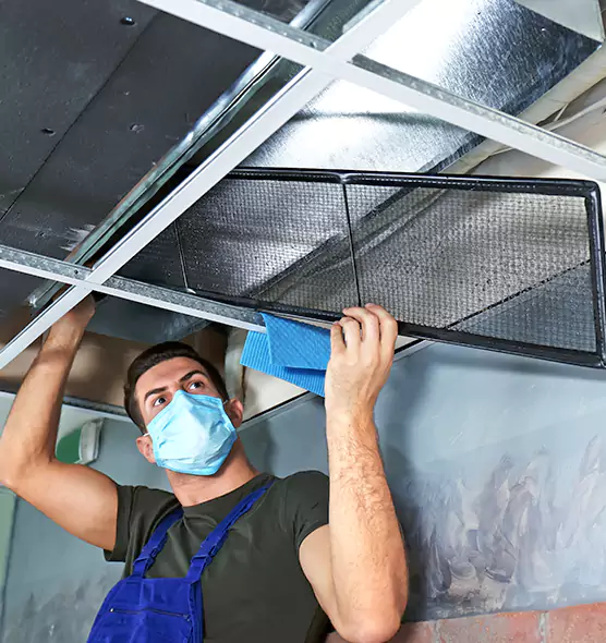 Professional Air Duct Pollen Cleaning in Suwanee, GA