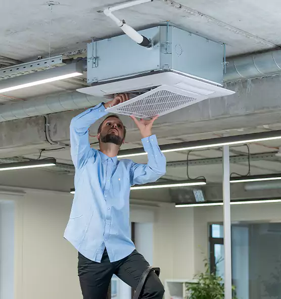 Advanced Rodent Droppings In Vents in Suwanee, GA