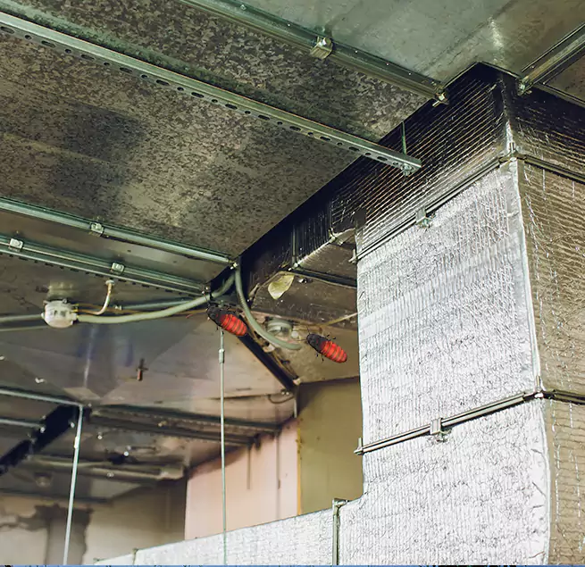 Why Homeowners & Businesses Trust Us Suwanee, GA?