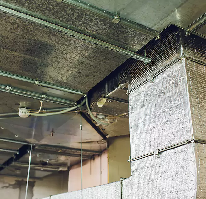 Why Homeowners & Businesses Trust Us in Suwanee, GA?