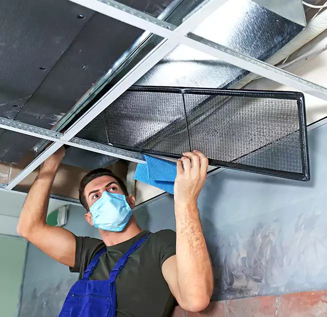 Why Homeowners Businesses Trust Us in Suwanee, GA